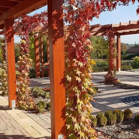 호텔 Rozsa Apartman